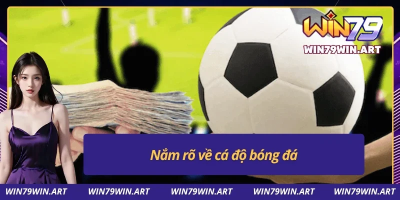 Cá Độ Bóng Đá - Cơ Hội Làm Giàu Siêu Hấp Dẫn Tại Win79 2 Thông tin cụ thể về cá độ bóng đá